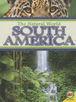 South America by Lyn Sirota