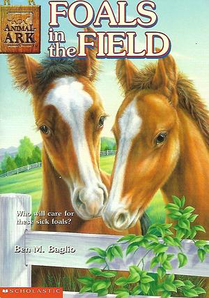 Foals in the Field by Ben M. Baglio