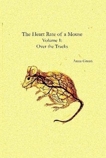 Over the Tracks by Anna Green