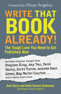 Write That Book Already!: The Tough Love You Need To Get Published Now by Kathi Kamen, Sam Barry