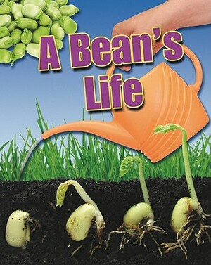 A Bean's Life by Angela Royston