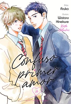 Confuso primer amor, vol. 6 by Wataru Hinekure