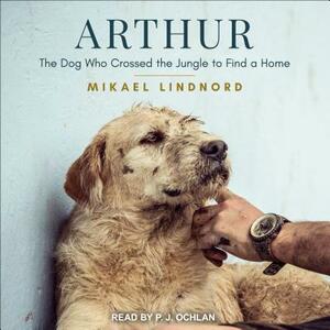 Arthur: The Dog Who Crossed the Jungle to Find a Home by Mikael Lindnord
