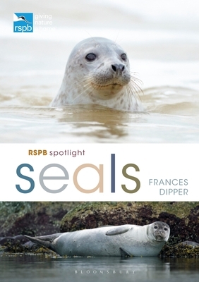 Rspb Spotlight Seals by Frances Dipper
