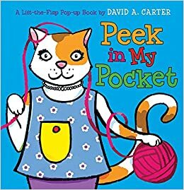 Peek in My Pocket by Sarah Weeks