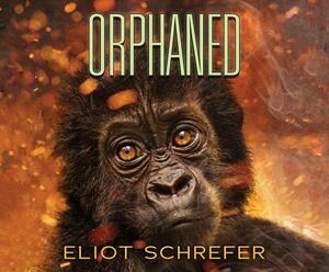 Orphaned by Eliot Schrefer