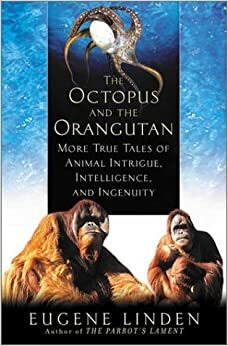 The Octopus and the Orangutan: More True Tales of Animal Intrigue, Intelligence, and Ingenuity by Eugene Linden