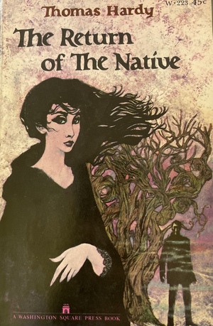 The Return of the Native by Thomas Hardy