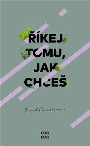 Říkej tomu, jak chceš by Brigid Kemmerer