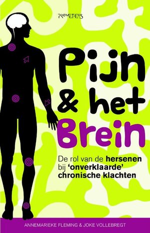 Pijn & het brein by Annemarieke Fleming, Joke Vollebregt