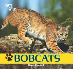 Bobcats by Henry Randall