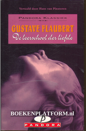 De leerschool der liefde: de geschiedenis van een jongeman by Geoffrey Wall, Gustave Flaubert, Robert Baldick