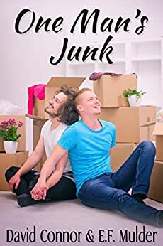 One Man's Junk by David Connor, E.F. Mulder