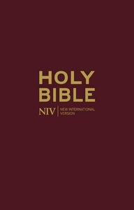 The Holy Bible (NIV2011) by Anonymous