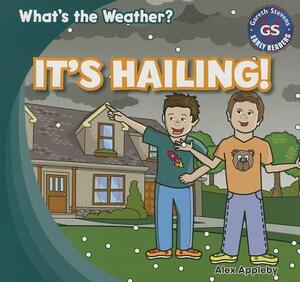 It's Hailing! by Alex Appleby