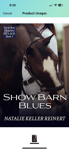 Show Barn Blues by Natalie Keller Reinert