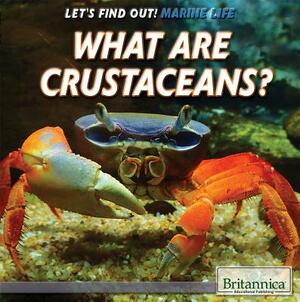 What Are Crustaceans? by Therese Shea