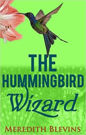 The Hummingbird Wizard by Meredith Blevins