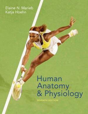 Human Anatomy & Physiology  by Elaine N Marieb, Katja Hoehn