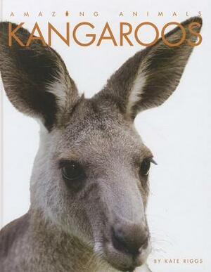 Kangaroos by Kate Riggs