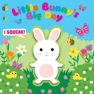 Little Bunny's Big Day by Grace Baranowski