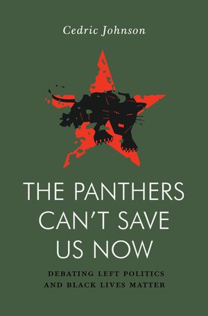 The Panthers Can't Save Us Now: Debating Black Life, Policing and Left Struggle by Cedric Johnson