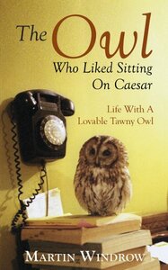 The Owl Who Liked Sitting on Caesar by Martin Windrow