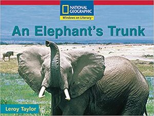 An Elephant's Trunk by Leroy Taylor