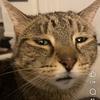 alexandria_aklatan's profile picture