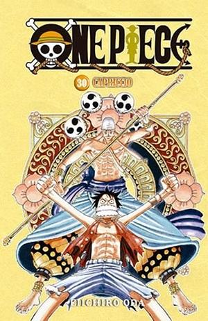 One Piece 30 by Eiichiro Oda