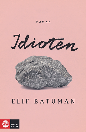 Idioten by Elif Batuman
