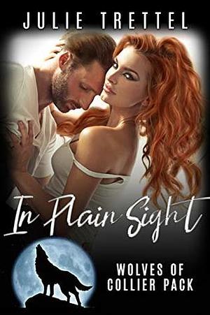 In Plain Sight by Julie Trettel