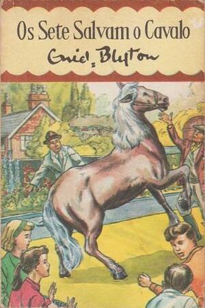 Os Sete Salvam o Cavalo by Enid Blyton