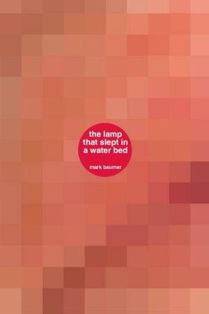 The Lamp That Slept in a Water Bed: A Book about the Lamp That Slept in a Water Bed by Mark Baumer