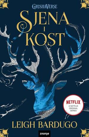 Sjena i kost by Leigh Bardugo