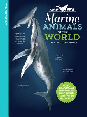Animal Journal: Marine Animals of the World: Notes, Drawings, and Observations about Animals That Live in the Ocean by Juan Carlos Alonso