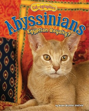 Abyssinians: Egyptian Royalty? by Dawn Bluemel Oldfield