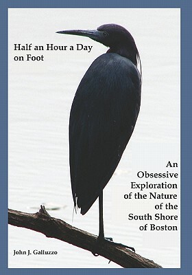 Half an Hour a Day on Foot: An Obsessive Exploration of the Nature and History of the South Shore of Boston by John J. Galluzzo