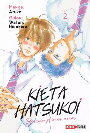 Kieta Hatsukoi: Borroso primer amor, Vol. 2 by Aruko, Wataru Hinekure