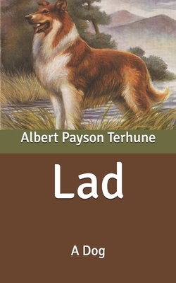 Lad: A Dog by Albert Payson Terhune