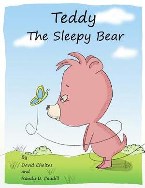 Teddy, the Sleepy Bear by David Chaltas