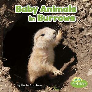 Baby Animals in Burrows by Martha E. H. Rustad