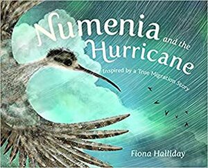 Numenia and the Hurricane: Inspired by a True Migration Story by Fiona Halliday