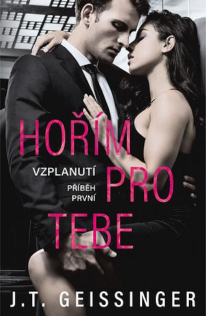 Hořím pro tebe by J.T. Geissinger