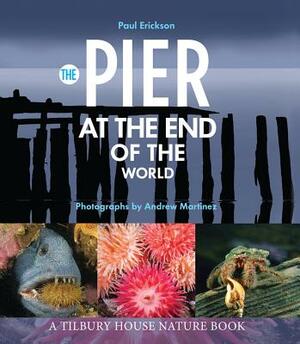 The Pier at the End of the World by Paul Erickson
