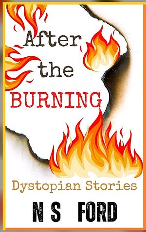 After the Burning by N.S. Ford