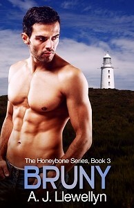 Bruny by A.J. Llewellyn