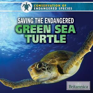 Saving the Endangered Green Sea Turtle by Sarah Machajewski