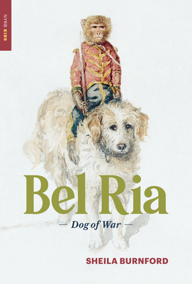 Bel RIA: Dog of War by Sheila Burnford