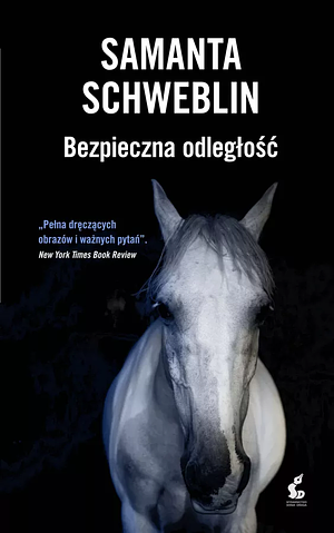 Bezpieczna odległość by Samanta Schweblin